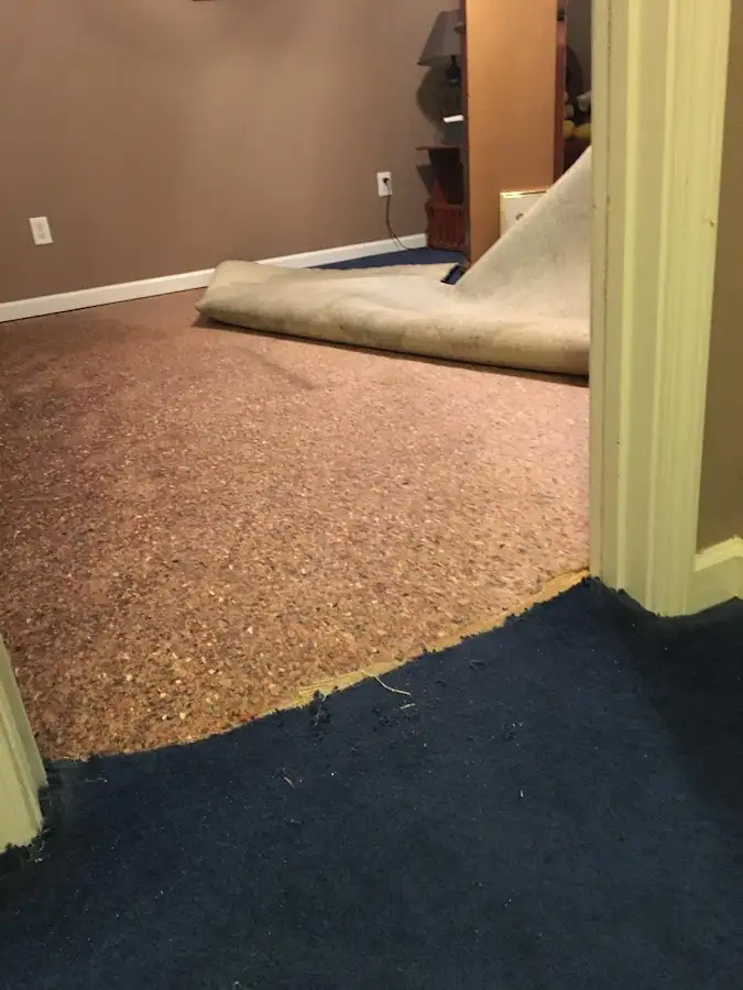 Carpet pad removal revealing water damage during Water Mitigation Services in Hamptonburgh